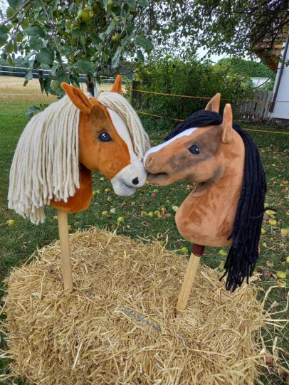 HobbyHorses